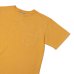 画像7: Good On（グッドオン）Short Sleeve Crew Neck Pocket Tee（ショートスリーブクルーネックポケット付きTシャツ）"Vintage Dye"/Mustard（マスタード）・Dk.Green（ダークグリーン）