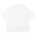 画像2: Champion（チャンピオン）T1011 Raglan Short Sleeve T-Shirt（ティーテンイレブンラグランショートスリーブTシャツ）"UCLA"/White（ホワイト）Made in USA※Lサイズのみ (2)