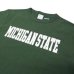 画像7: Champion（チャンピオン）T1011 US Print T-Shirt（ティーテンイレブンUSプリントTシャツ）"MICHIGAN STATE"/White×Green（ホワイト×グリーン）・Moss Green（モスグリーン）Made in USA