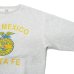 画像4: BARNS OUTFITTERS (バーンズアウトフィッターズ) Super Heavy Weight Sweat Shirt (スーパーヘビーウェイトスウェットシャツ)"Santa fe"/Grey(グレー)