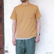 画像12: Good On（グッドオン）Organic Short Sleeve Pocket Tee（オーガニックショートスリーブポケットTシャツ）/Natural（ナチュラル）・Brown（ブラウン）・Green（グリーン） (12)