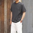 画像9: Yonetomi NEW BASIC（ヨネトミニューベーシック）RINGER T-SHIRT（リンガーTシャツ）/Lt.Gray（ライトグレー） (9)