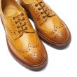 画像5: Tricker's（トリッカーズ）カントリーブローグシューズ（Bourton）ダイナイトソール/1001 Burnished（1001バーニッシュド） (5)