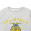 画像3: BARNS OUTFITTERS (バーンズアウトフィッターズ) Super Heavy Weight Sweat Shirt (スーパーヘビーウェイトスウェットシャツ)"Santa fe"/Grey(グレー) (3)